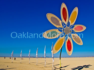 nexus santa cruz burning man photo