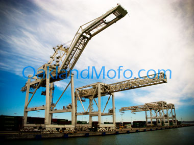 buy port shipping cranes photo