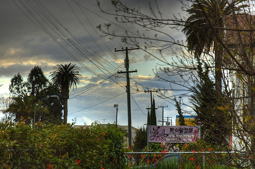Industrial Jungle HDR