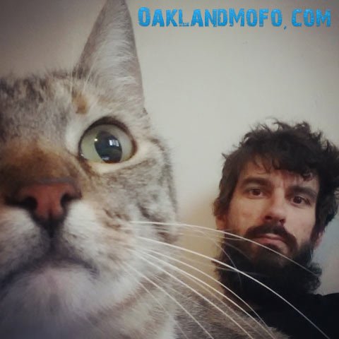 cat town oakland