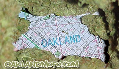 medical marijuana dispensary in oakland