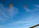 Burning Man kites