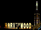 Larry Harvey HarveyWood Sign