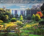 morcom rose garden oakland